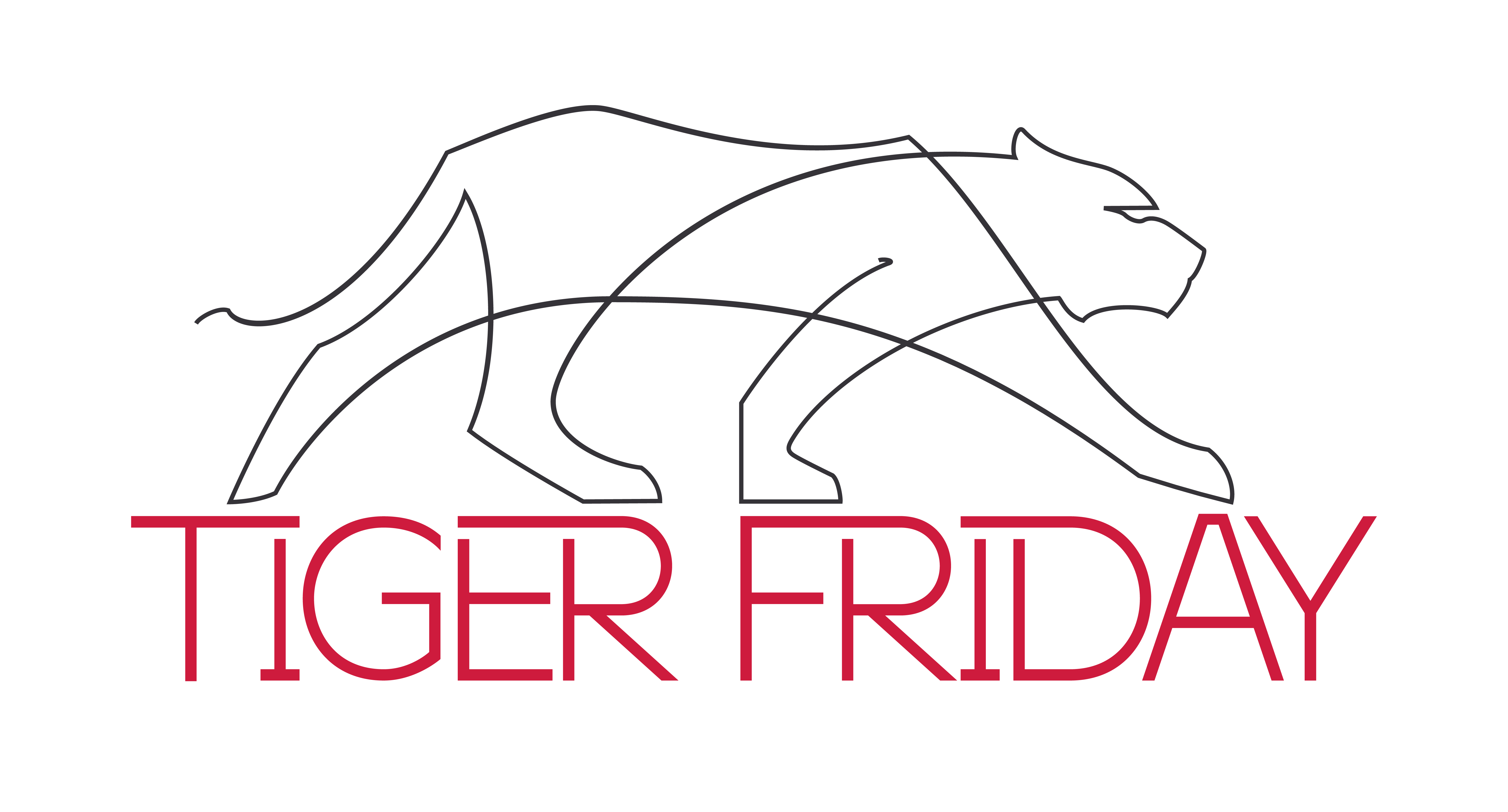 Tiger Friday – Lucky Dancewear