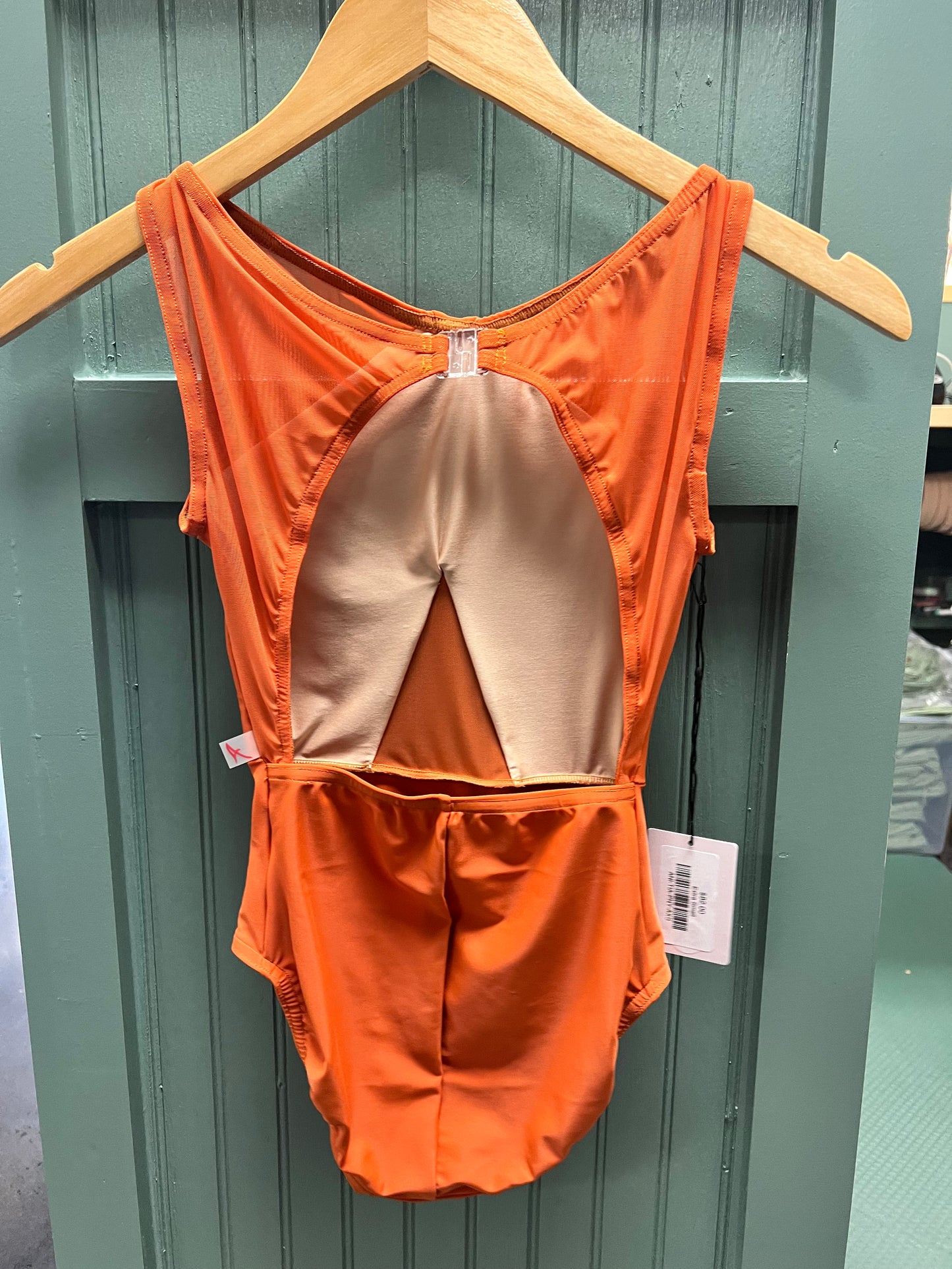 Anina Dancewear | Tianna Leotard | Lucky Penny