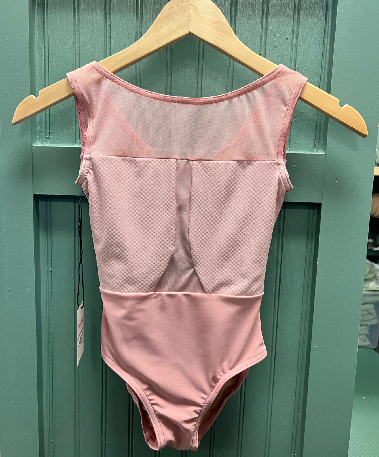 Anina Dancewear | Celina Leotard | Blush